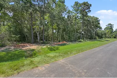 9726 Oakland Park Boulevard, Plantersville, TX 77363 - Photo 13