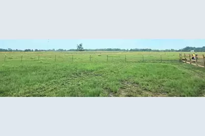 816 Raccoon Bend Road, Bellville, TX 77418 - Photo 17