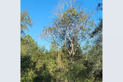 000 Fm-562, Anahuac, TX 77514 - Photo 13