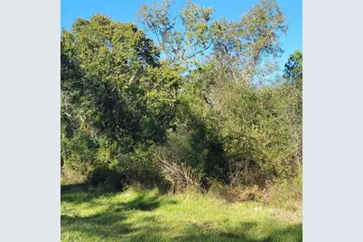 000 Fm-562, Anahuac, TX 77514 - Photo 11