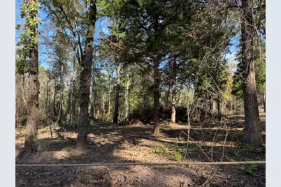 4522 County Road 278, Buffalo, TX 75831 - Photo 7