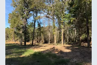 4522 County Road 278, Buffalo, TX 75831 - Photo 13