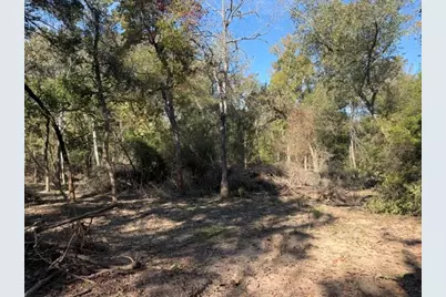 4522 County Road 278, Buffalo, TX 75831 - Photo 9