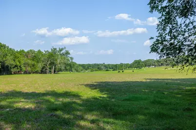 3004 County Road 310, Caldwell, TX 77836 - Photo 35