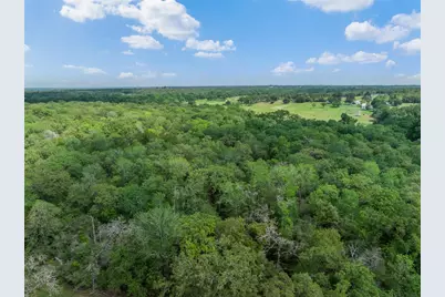 3004 County Road 310, Caldwell, TX 77836 - Photo 43