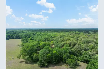 3004 County Road 310, Caldwell, TX 77836 - Photo 41