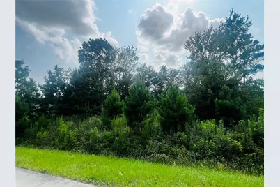 412 County Road 3411, Cleveland, TX 77327 - Photo 3