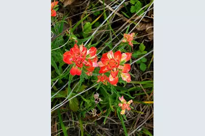 Tbd W Fm 1161, Wharton, TX 77488 - Photo 13