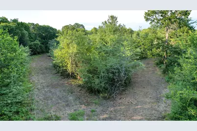 Tbd Antioch Road, Midway, TX 75852 - Photo 11