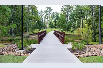 542 Carina Gaze Drive, Conroe, TX 77318 - Photo 29