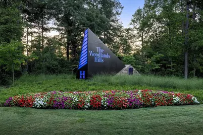 542 Carina Gaze Drive, Conroe, TX 77318 - Photo 29