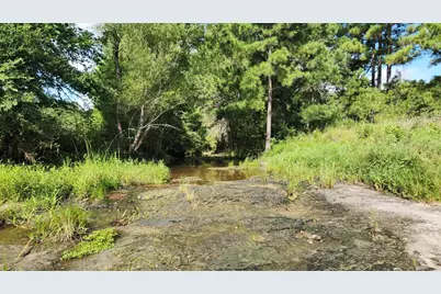 Tbd Walker Ln Lane, Huntsville, TX 77320 - Photo 33