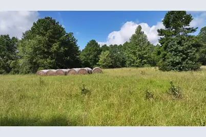 Tbd Walker Ln Lane, Huntsville, TX 77320 - Photo 23