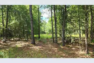 Tbd Walker Ln Lane, Huntsville, TX 77320 - Photo 27