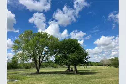 10250 Jenny Lynn Lane, Chappell Hill, TX 77426 - Photo 11