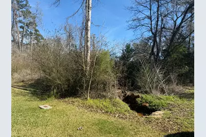 2 Hanover Lane, Conroe, TX 77304 - Photo 3