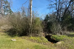 2A Hanover Ln, Conroe, TX 77304 - Photo 3