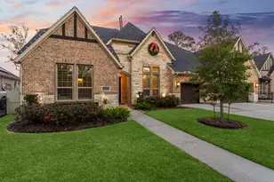 10577 Lake Palmetto, Conroe, TX 77385 - Photo 43