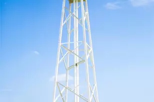 31711 Wild Mdw Dr, Fulshear, TX 77423 - Photo 13