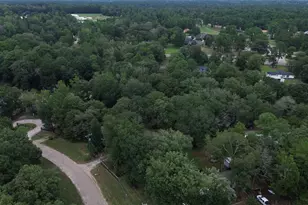 206 Wickdome Dr, Willis, TX 77378 - Photo 11