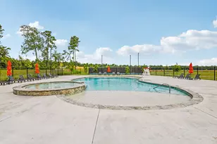 25327 Brushby Crk Dr, Magnolia, TX 77355 - Photo 11