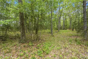 19909 Big Oak Dr, Montgomery, TX 77356 - Photo 39