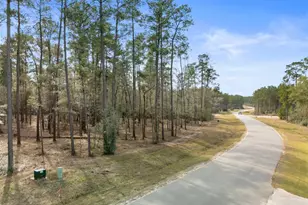 15880 Four Hls Rd, Willis, TX 77378 - Photo 1