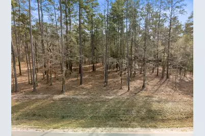 15880 Four Hills Road, Willis, TX 77378 - Photo 5
