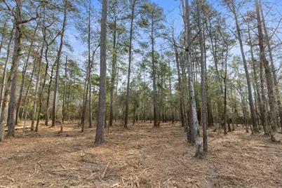 15880 Four Hills Road, Willis, TX 77378 - Photo 1