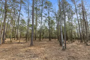 15880 Four Hls Rd, Willis, TX 77378 - Photo 1