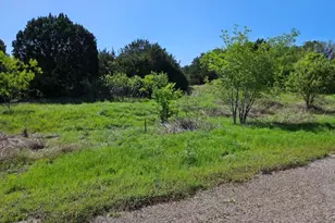 31041 Doe Run Ct, Whitney, TX 76692 - Photo 5