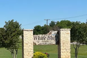 31041 Doe Run Ct, Whitney, TX 76692 - Photo 7