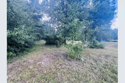 702 County Road 2339, Dayton, TX 77535 - Photo 9
