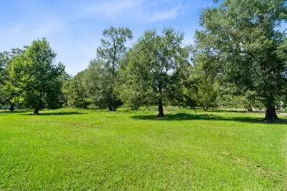 274 Robinson Tract, Livingston, TX 77351 - Photo 41