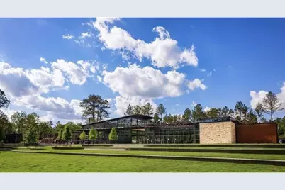 323 Calmato Woods Way, Willis, TX 77318 - Photo 45