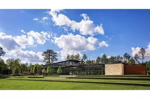 323 Calmato Woods Way, Willis, TX 77318 - Photo 45