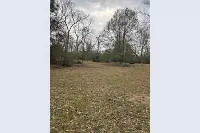 0 Pin Oak Drive, Highlands, TX 77562 - Photo 3