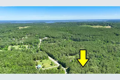 00 Grey Fox Ln, Brookeland, TX 75931 - Photo 1