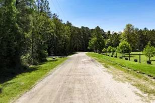 00 Grey Fox Ln, Brookeland, TX 75931 - Photo 5