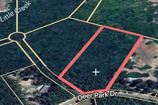 00 Grey Fox Ln, Brookeland, TX 75931 - Photo 13