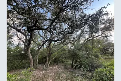 1600 County Road 121, Garwood, TX 77460 - Photo 3