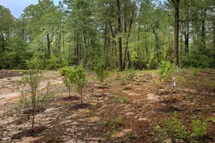 Tbd Saratoga Woods Dr, Montgomery, TX 77316 - Photo 11