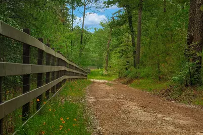 Tbd Saratoga Woods Drive, Montgomery, TX 77316 - Photo 5