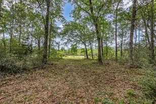 27527 Tepee Trail, Hockley, TX 77447 - Photo 49
