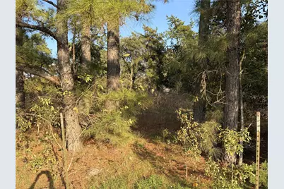 2995 Pecan Avenue, Waller, TX 77446 - Photo 5