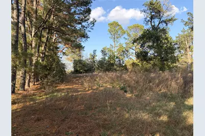 2995 Pecan Avenue, Waller, TX 77446 - Photo 3