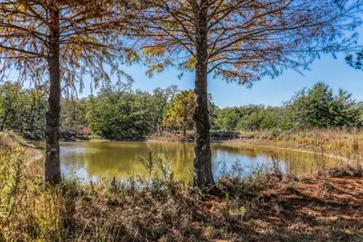 1745 Schoenberg Road, Carmine, TX 78932 - Photo 19