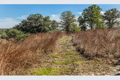 1745 Schoenberg Road, Carmine, TX 78932 - Photo 23