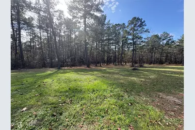 4542 Evergreen Forest Lane, Navasota, TX 77868 - Photo 29