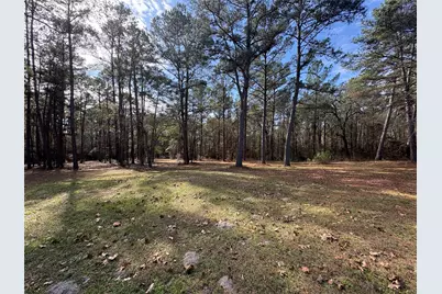 4542 Evergreen Forest Lane, Navasota, TX 77868 - Photo 41